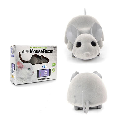 App Mouse Racer Phone Control Cat Toy with Android &amp; IOS Interactive