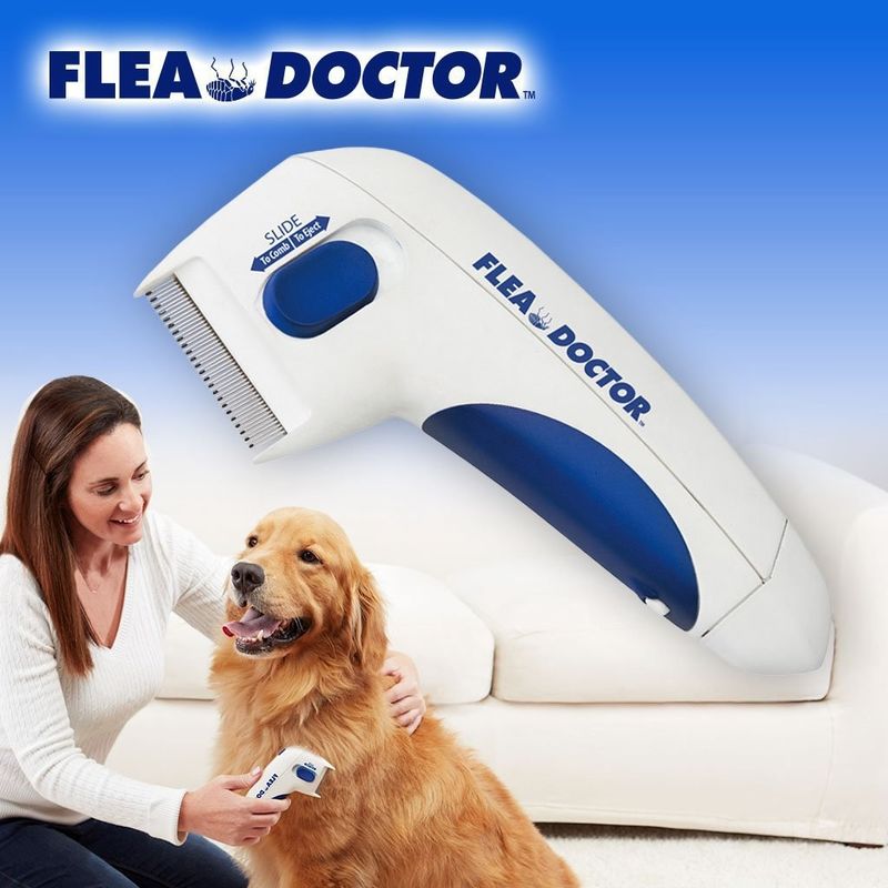 Hallupets Dog Pet Electric Electric Comb Remover برقی کک و شانه تیک