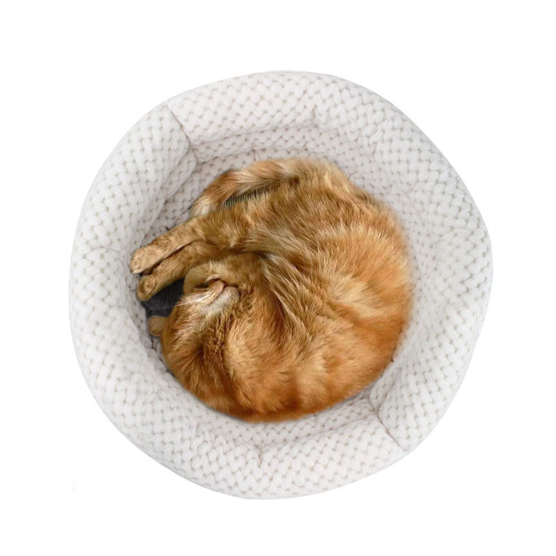 2021 عمده فروشی Cuddle Cup Shape گربه و سگ تختخواب حیوانات خانگی با دیوارهای بلند برای خانه حیوان خانگی قابل شستشو با خواب عمیق