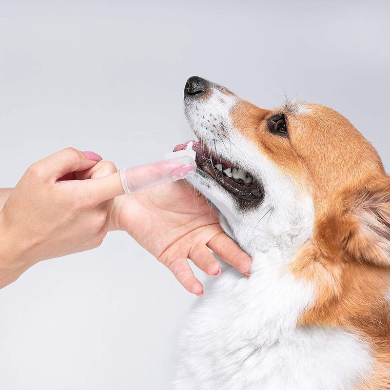 ابزار تمیز کردن سگ Bristle Silicone Dog Cleaning دندان مسواک سگ مراقبت از دهان مسواک حیوان خانگی