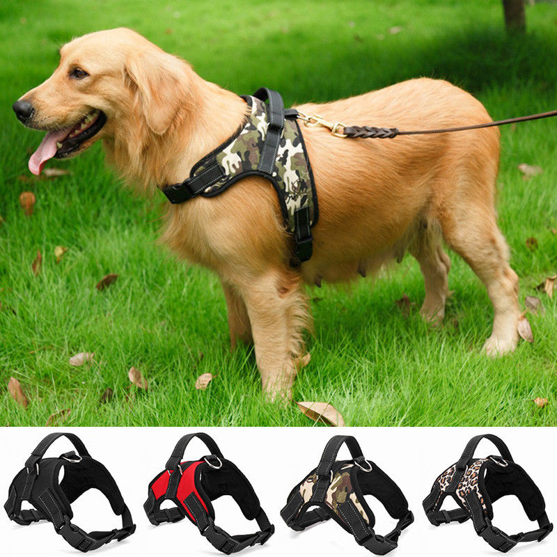 آکسفورد Mesh Canvas Padded Padded Dog Harness جلیقه حیوان خانگی سگ بند زین بند سینه قابل تنفس بدون یقه حیوان خانگی