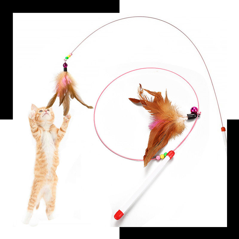 گربه Hallupets گربه اسباب بازی گربه تیزر پر