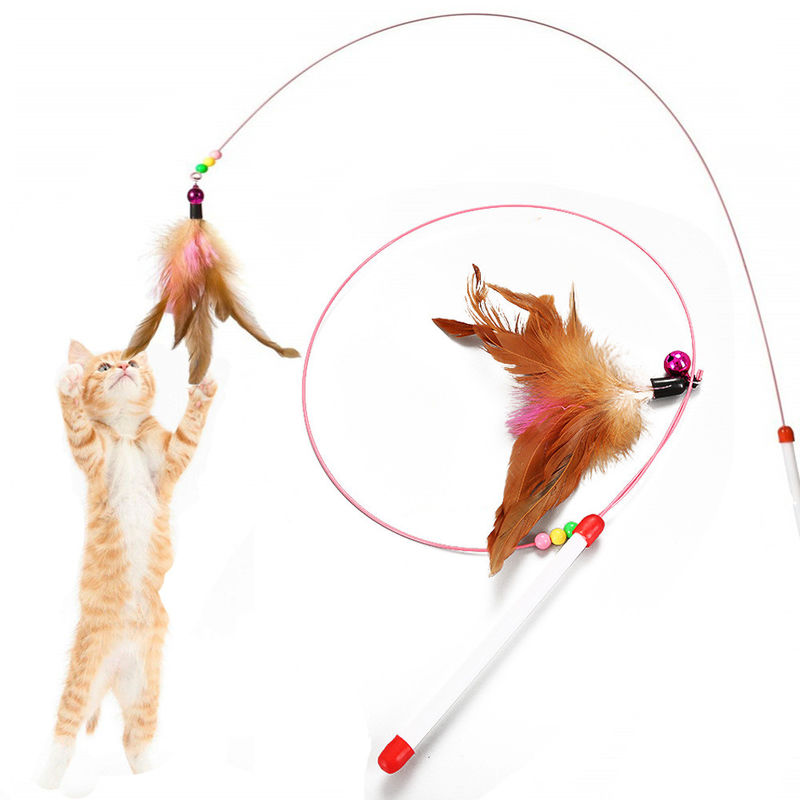 گربه Hallupets گربه اسباب بازی گربه تیزر پر