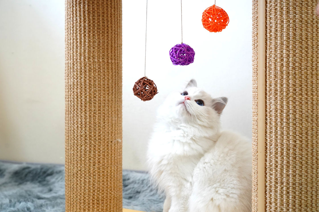 درخت تخته خراش دو لایه Solid Cat 60*30*63cm