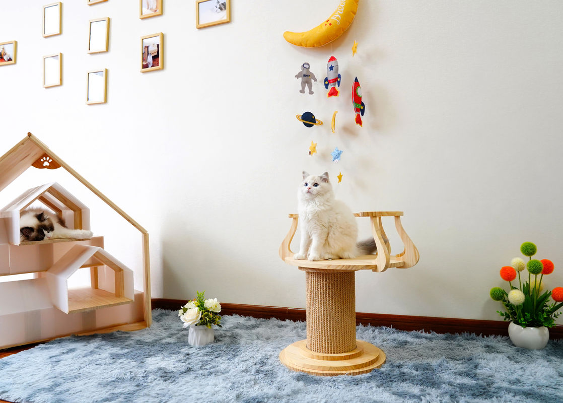 سازگار با محیط زیست گربه خراش گربه کوهنوردی برج درخت گربه عکس L اندازه 72cm M 62cm