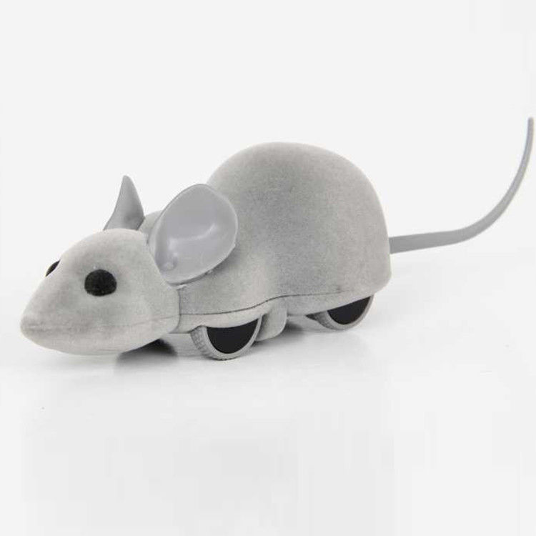App Mouse Racer Phone Control Cat Toy with Android &amp; IOS Interactive