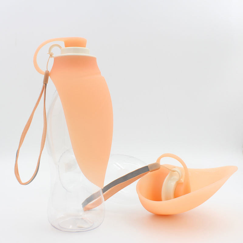 580ml 20OZ Leaf Leak Proof Beat Dispenser Water Bottle